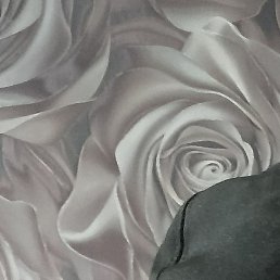 �������, �������, 52 ����