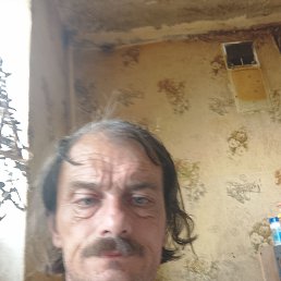, 48 , 