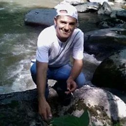 ����, 52 ����, �����