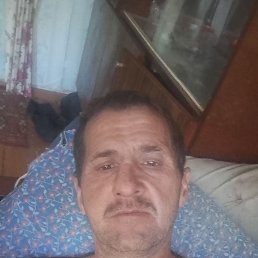 , 51, 