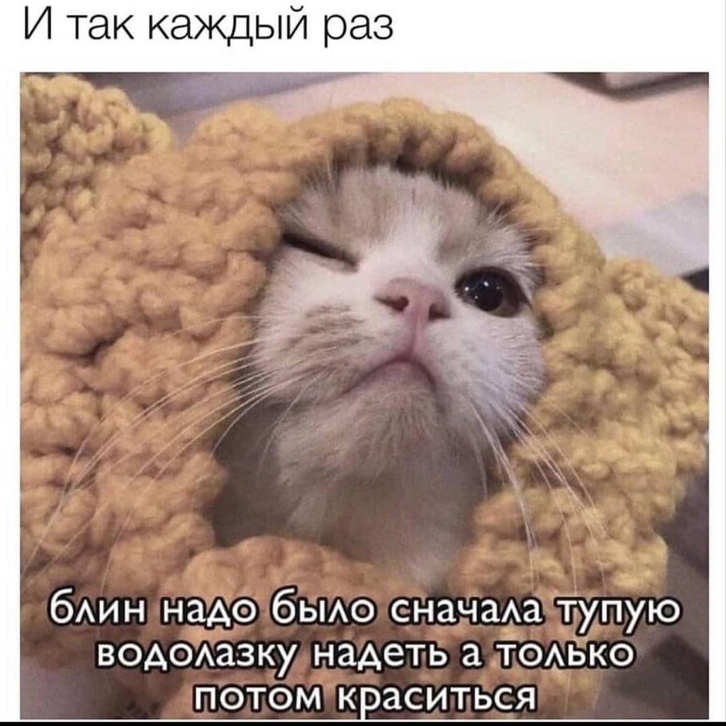   - 29  2024  17:37