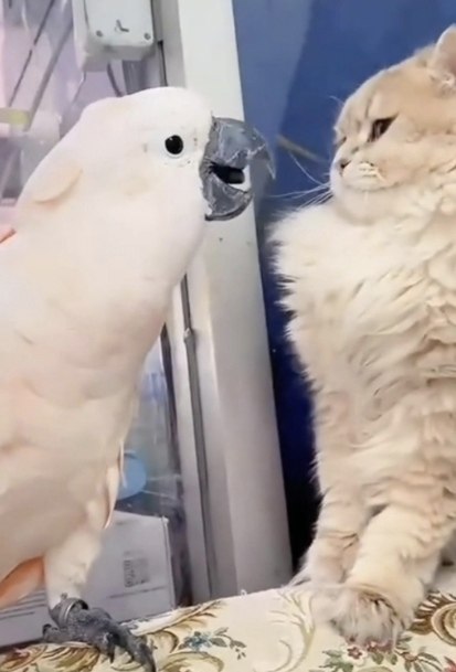 -!