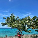 ���� ����, ������, 55 ��� - ��������� 23 ���� 2025 � ������ ���� ����������