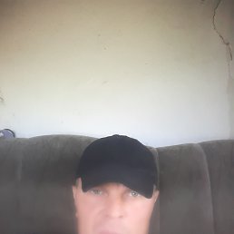 ���� ����, ��������, 44 ���� - ��������� 2 ���� 2026