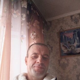 ���� ��������, ����, 44 ���� - ��������� 25 ������ 2026