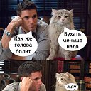  , -, 41  -  23  2025    