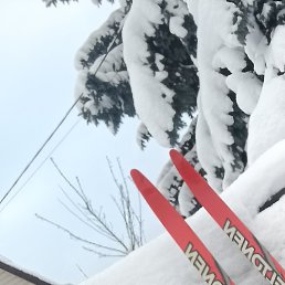 �������, ������, 61 ���