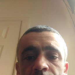 , 39, 