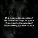 ���� Andrey, ����������, 46 ��� - ��������� 20 ������ 2026 � ������ ���� ����������