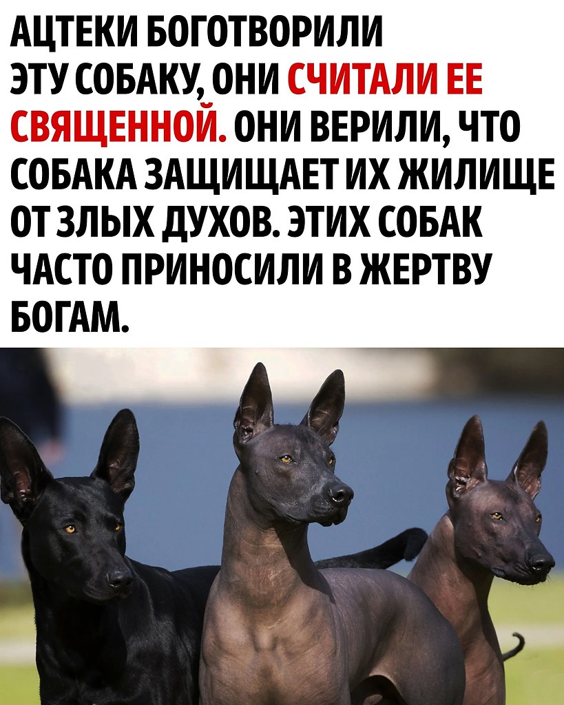     - 2