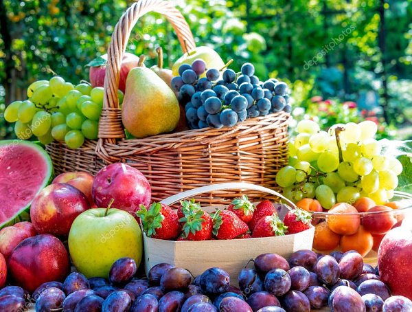   ,   ,   .  , ,  , ...