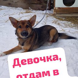 �������, �����, 48 ���