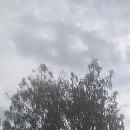 ������, ������, 30 ���