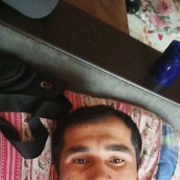 , 33, 