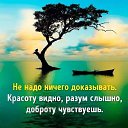  , -- -  5  2025    