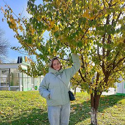 �����, ����������, 48 ���