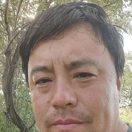 , 34, 