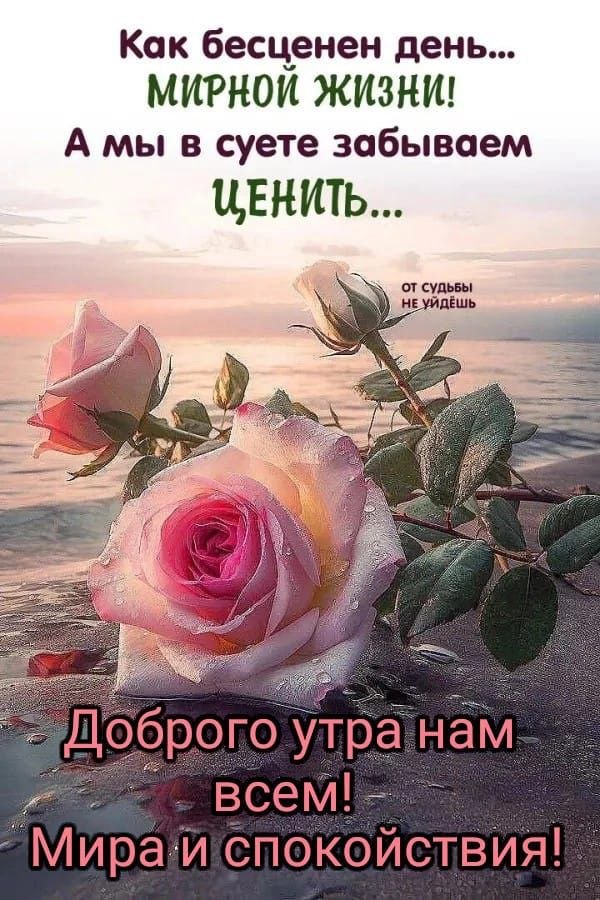   - 14  2025  10:44