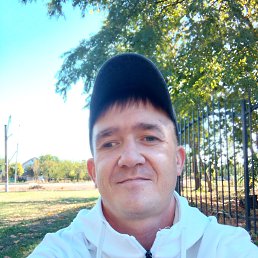 , 33 , 