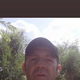 , 39, 