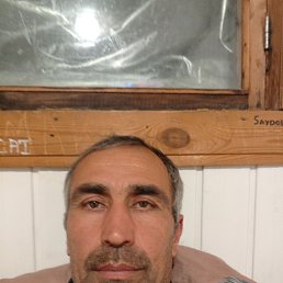 , 52, 