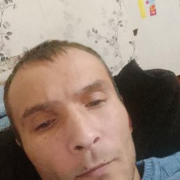 , 40, 