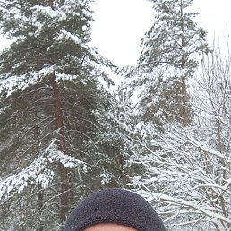 �����, 41 ���, �����