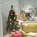 ���� �������, ����������, 66 ��� - ��������� 20 ������� 2025 � ������ ������ ��������