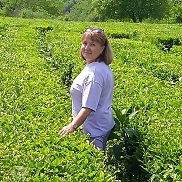 ����, 58 ���, ������������