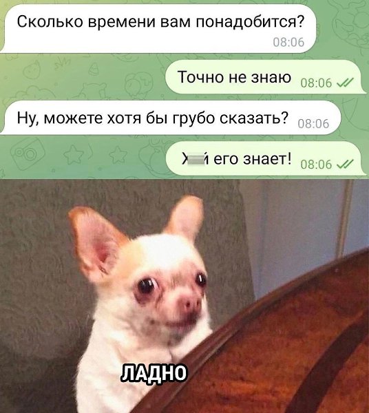  - 10  2024  22:03