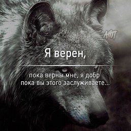 ���� ������, ���������, 45 ��� - ��������� 18 ������ 2023