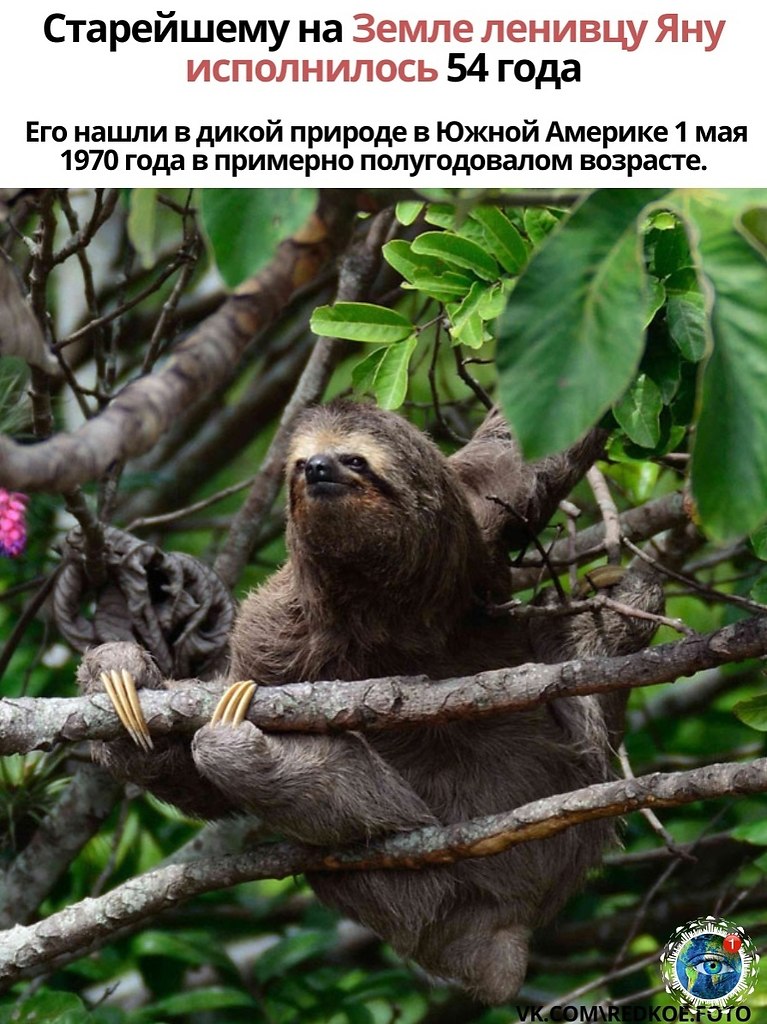 �� ��� �a��o �axo���c� � ����� p��op�o� ����ca