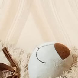 , , 30 