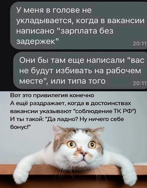 1. Сначала пройдите собеседования в компании, где бы вам хотелось работать меньше всего. Лучше ...