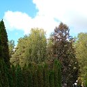 ���� ��������, ��������� - ��������� 10 ������� 2026 � ������ ���� ����������