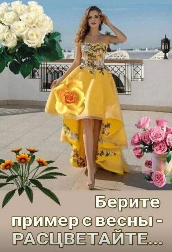 ₪╬═►  ||  ||  ◄═╬₪ - 14  2024  05:40