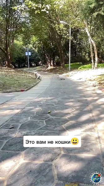 a e eep ocao o ce? - 3