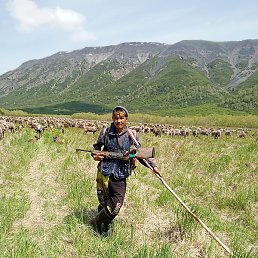 ��������, ������, 33 ����