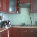 ���� Gerom, ������� - ��������� 13 ������ 2025 � ������ ������ ��������