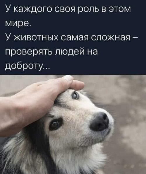   ! - 21  2025  09:59