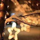 ���� ����, �����-��������� - ��������� 3 ������ 2026 � ������ ���� ����������
