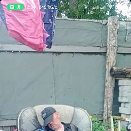 , 37, 