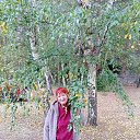 ���� �������, ������, 66 ��� - ��������� 20 ������� 2025 � ������ ���� ����������