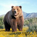 ���� �������, ��������, 50 ��� - ��������� 28 ������� 2024