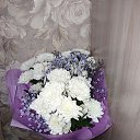 ���� �������, ����������, 61 ��� - ��������� 24 ������ 2024