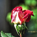 ���� ������, ��������� - ��������� 17 ������� 2025 � ������ ������ �� �����