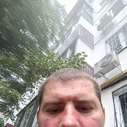 , 40, 