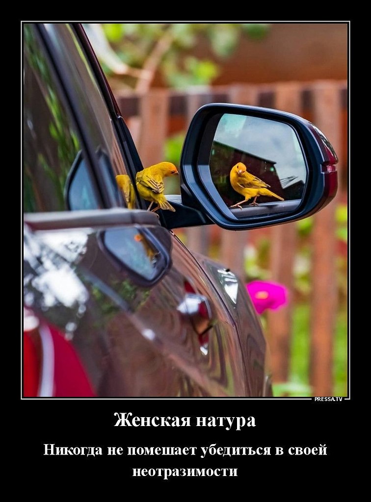   - 5  2024  21:29