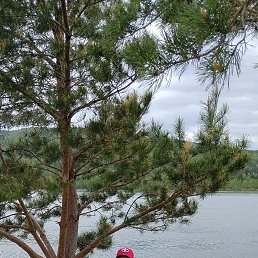 ���� �����, ����������, 61 ��� - ��������� 24 ��� 2025