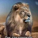 ���� 07sova25, ����, 53 ���� - ��������� 30 �������� 2024 � ������ ���� ����������